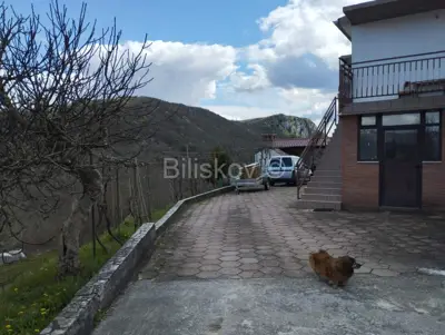 Buzet, prodaja, kuća na brežuljku, parcela 2400 m² - 11