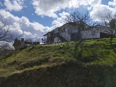 Buzet, prodaja, kuća na brežuljku, parcela 2400 m² - 2