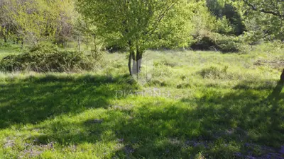 Building plot 911 m², Poreč surroundings, sea view - 4