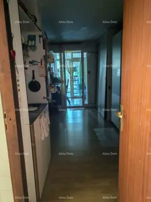 Stan 41 m², Mareda kod Novigrada, vrt i loggia 14 m² - 4