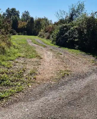 Zemljište 1.492 m², Tinjan - mir i privatnost - 3