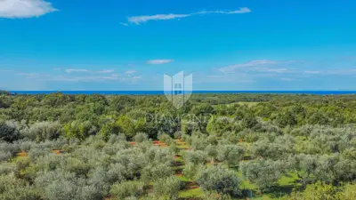 Umag okolica, kuća u izgradnji sa pogledom na more! - 3