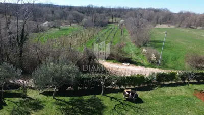 Excellent building land near Labin - 5