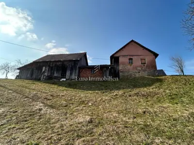 Bosiljevo, old house with conceptual project - 5