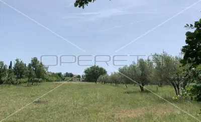 Zemljište 22.586 m², Kršete, Buje - projekt luksuzne kuće - 8