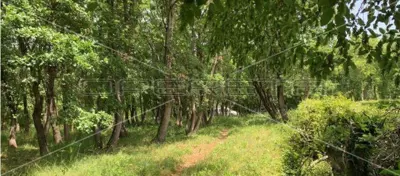 Zemljište 22.586 m², Kršete, Buje - projekt luksuzne kuće - 10