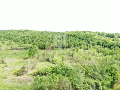 Land 250,000 m², Labin - secluded estate - 11