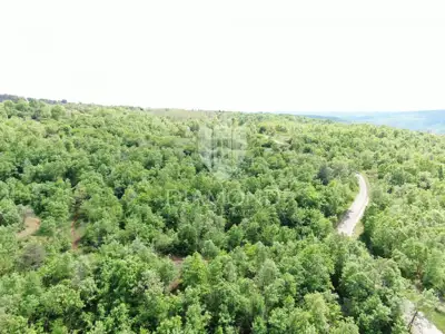 Land 250,000 m², Labin - secluded estate - 16