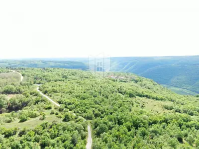 Land 250,000 m², Labin - secluded estate - 18