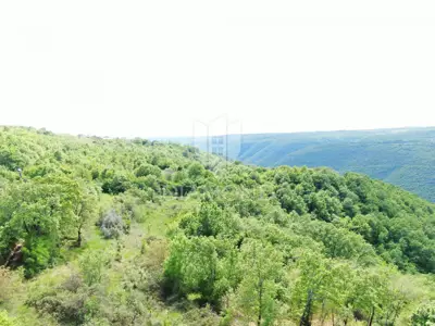 Land 250,000 m², Labin - secluded estate - 10