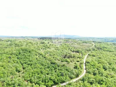Land 250,000 m², Labin - secluded estate - 20