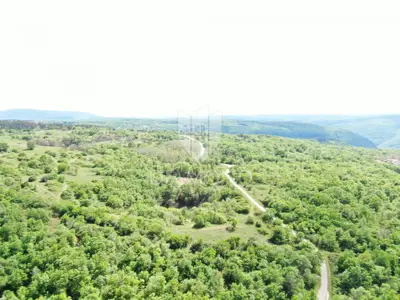 Land 250,000 m², Labin - secluded estate - 17