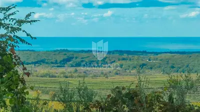 Building plot 1,400 m², Buje - panoramic views - 6