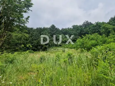 Grundstück 8.651 m², Pićan - Bauland und landwirtschaftlich genutzt