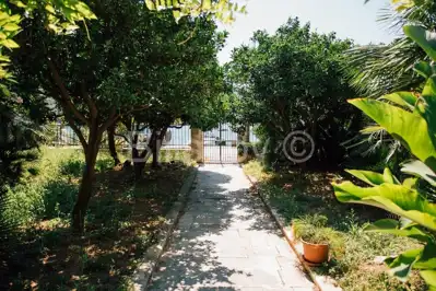 Dubrovnik, Zaton, first row to the sea, stone villa on 2,500 m² of land - 8