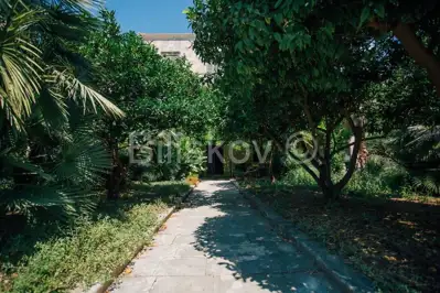 Dubrovnik, Zaton, first row to the sea, stone villa on 2,500 m² of land - 12