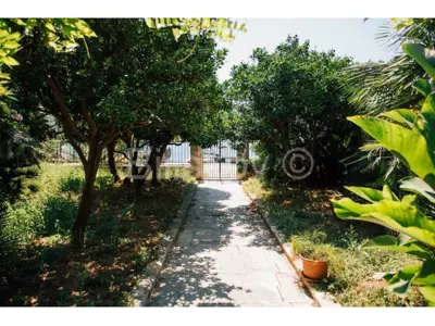 Dubrovnik, Zaton, first row to the sea, stone villa on 2,500 m² of land - 8