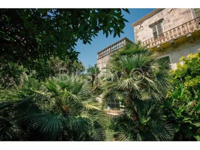 Dubrovnik, Zaton, first row to the sea, stone villa on 2,500 m² of land - 9