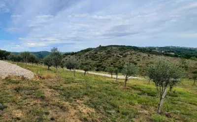 Momjan – prodaja građevinskog zemljišta na odličnoj lokaciji.