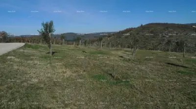 Momjan – prodaja građevinskog zemljišta na odličnoj lokaciji. - 3