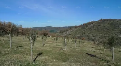 Momjan – prodaja građevinskog zemljišta na odličnoj lokaciji. - 4