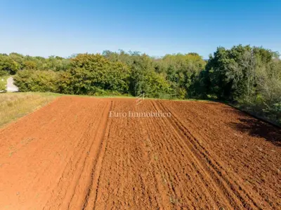 Marčana - land of regular shape with access - 4