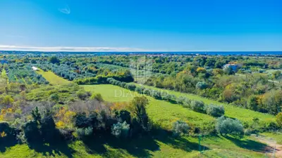 Building plot 1,250 m², Umag - quiet location - 4