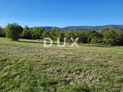 Zemljište 9.212 m², Motovun - pogled na Motovun