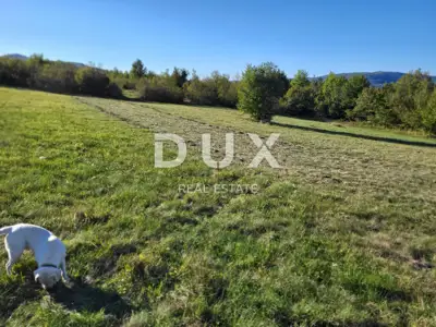 Grundstück 9.212 m², Motovun - Blick auf Motovun - 4
