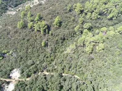Land 8 079 m², Žrnovo - quiet location and sea view - 15