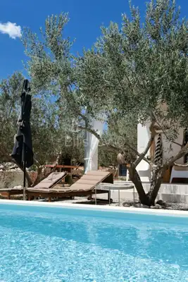 Erdgeschosshaus mit Pool und Olivenhain, Plano - 10