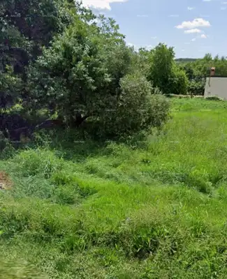 Baugrundstück 600 m², Brtonigla - ruhige Lage - 3
