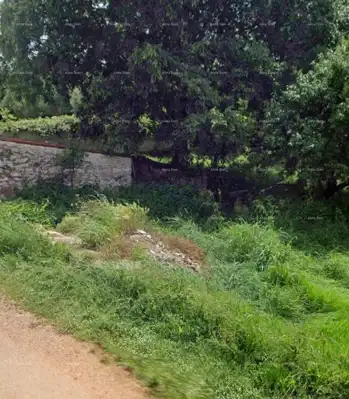 Baugrundstück 600 m², Brtonigla - ruhige Lage - 2
