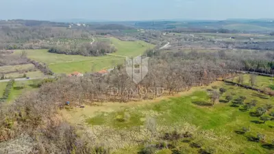 Land 22,586 m², Buje - quiet location for investment - 3
