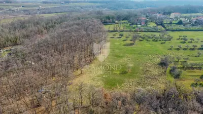 Land 22,586 m², Buje - quiet location for investment - 2