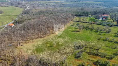 Land 22,586 m², Buje - quiet location for investment