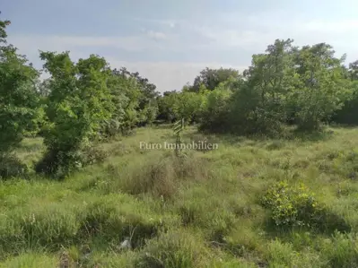 Agricultural land in an excellent location - potential! - 4