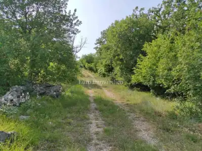 Agricultural land in an excellent location - potential! - 2