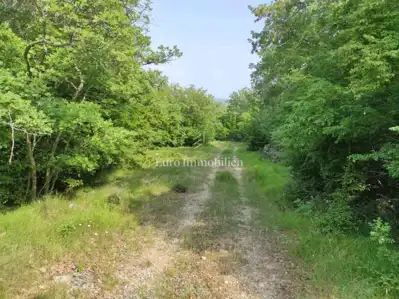 Agricultural land in an excellent location - potential!