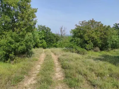 Agricultural land in an excellent location - potential! - 3