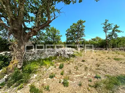 Građevinsko zemljište 8.600 m², Sveti Lovreč Labinski, pogled na more