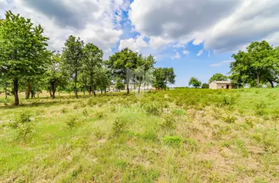 Building plot 8,289 m², Poreč - investment for holiday homes - 9
