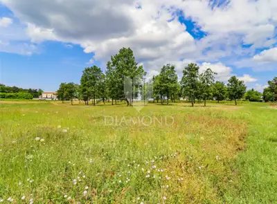 Building plot 8,289 m², Poreč - investment for holiday homes - 4