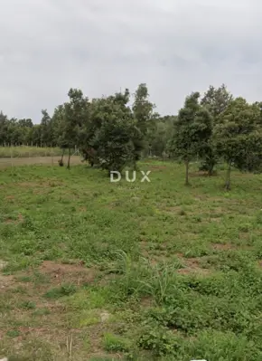 Poljoprivredno zemljište u Šišanu, 1.000 m² uz glavnu prometnicu - 4