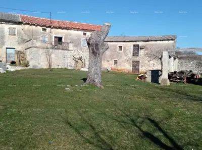 Pazin, Istra - zwei alte Steinhäuser mit großem Grundstück - 2