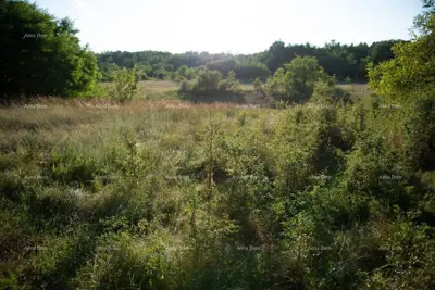 Building land 900 m², Sveta Nedelja - project for a villa - 3