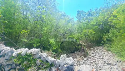 Building plot 2,555 m², Vrbnik - quiet location - 4
