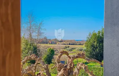 Novigrad, okolica! Predivna kamena vila s bazenom! - 15