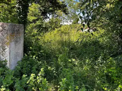 Kuća i staja, Barban, zemljište s voćkama i orasima - 8