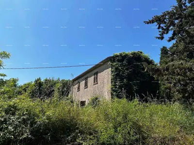 Kuća i staja, Barban, zemljište s voćkama i orasima - 4